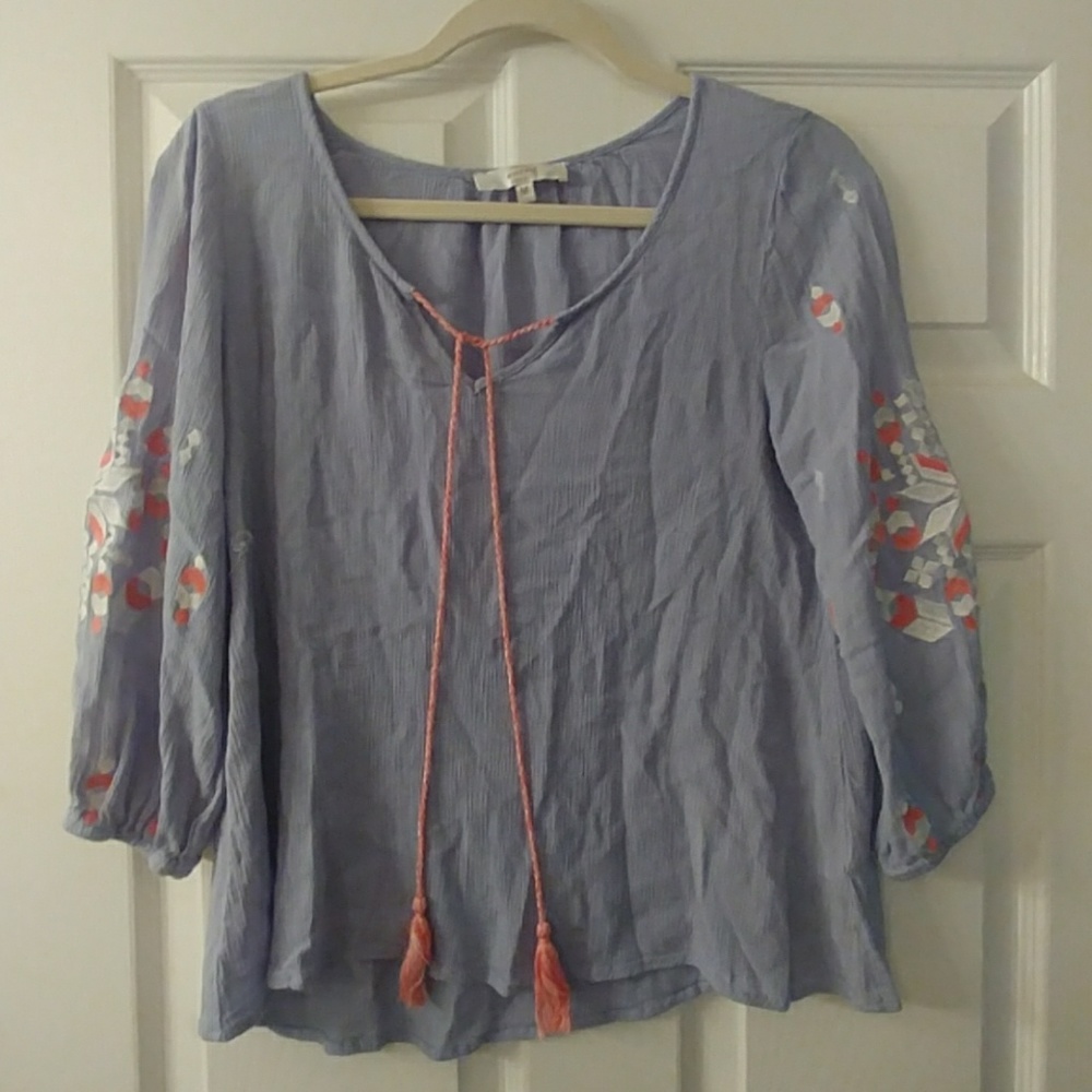 Blue Embroidery Sleeve Top